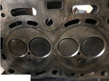 : immagine di intestazione