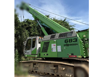 Gru cingolata SENNEBOGEN