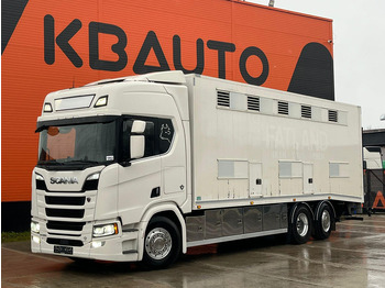 Autocarro trasporto bestiame SCANIA R 580
