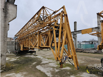 : immagine di intestazione