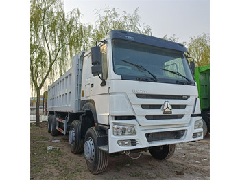 Autocarro ribaltabile HOWO 8x4 371hp-White -tipper: foto 4