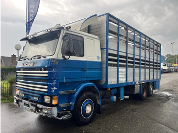Autocarro trasporto bestiame SCANIA R113