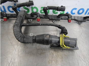 Sistema elettrico PACCAR