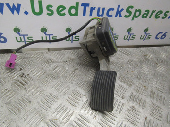 : immagine di intestazione