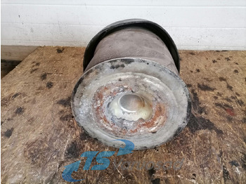 Sospensione pneumatica per Camion Mercedes-Benz Air suspension A9603201817: foto 3