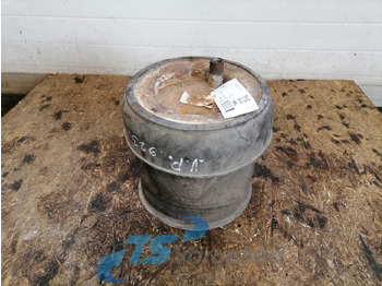 : immagine di intestazione