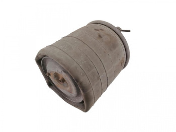 Sospensione pneumatica SCANIA