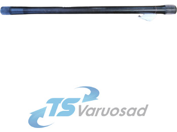 : immagine di intestazione