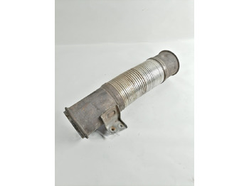 : immagine di intestazione