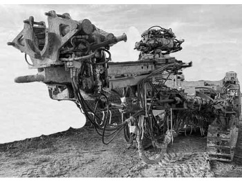 : immagine di intestazione
