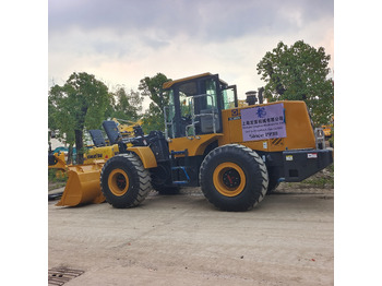Pala gommata XCMG ZL50GN