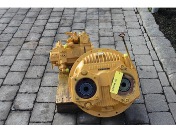 : immagine di intestazione