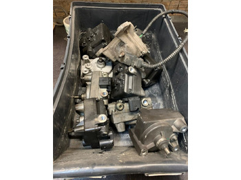 : immagine di intestazione