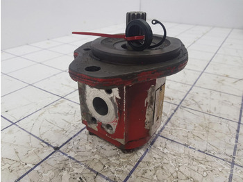 Pompa idraulica per Gru Rexroth Rexroth sigma Gear pump: foto 3