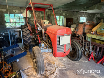 Trattore MASSEY FERGUSON