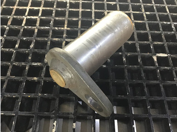 : immagine di intestazione