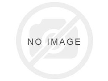 Escavatore cingolato LIEBHERR R 954