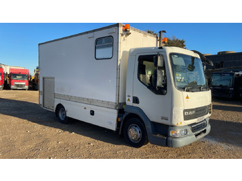 Autocarro furgonato DAF LF 45 160
