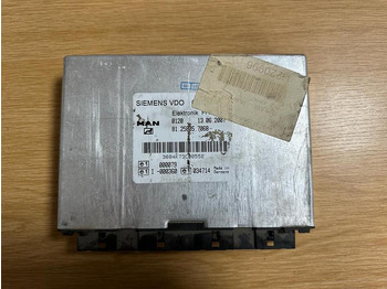 : immagine di intestazione