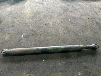 : immagine di intestazione