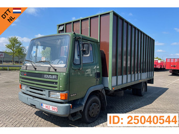Van trasporto cavalli DAF 45 160