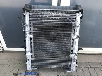 Radiatore per Camion Renault D-Serie: foto 2