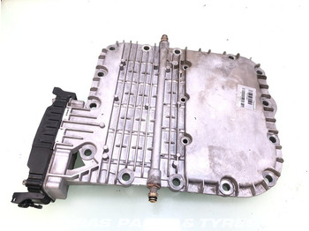 : immagine di intestazione