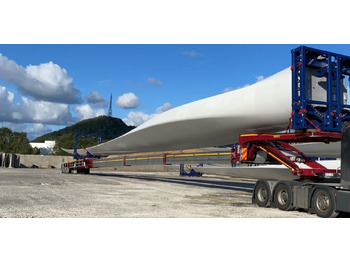 : immagine di intestazione