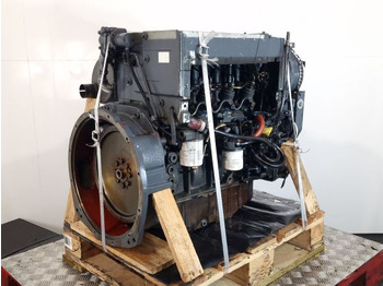 : immagine di intestazione