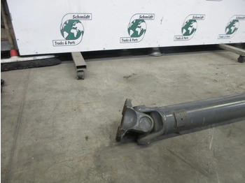 Semiasse per Camion DAF 1709546 // 1408417 AANDRIJF AS DAF LF 210 MODEL 2020: foto 4