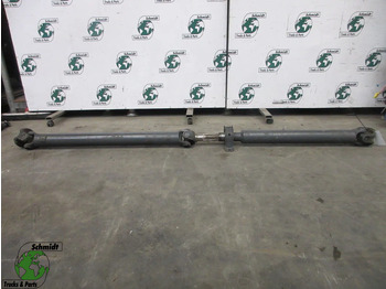 : immagine di intestazione