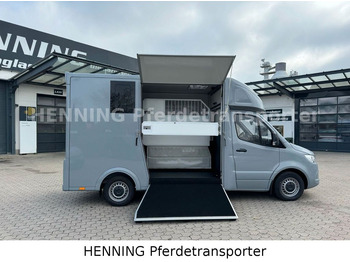 Van trasporto cavalli nuovo Mercedes-Benz Sprinter 3 - Sitzer *NEUFAHRZEUG*: foto 5