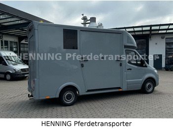Van trasporto cavalli nuovo Mercedes-Benz Sprinter 3 - Sitzer *NEUFAHRZEUG*: foto 3