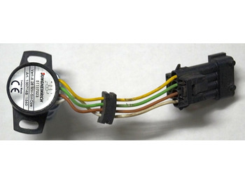 : immagine di intestazione