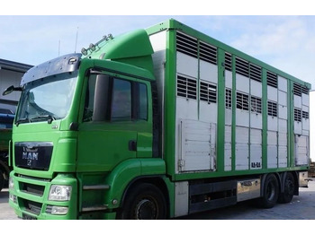 Autocarro trasporto bestiame MAN TGS 26.440
