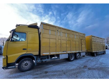 Autocarro trasporto bestiame VOLVO FH 420