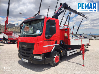 Autocarro con pianale/ Cassone fisso DAF LF 210
