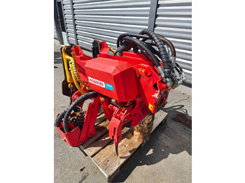 : immagine di intestazione