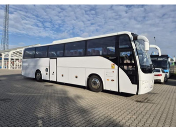 Leasing di  Temsa SAFARI HD 12 / SPROWADZONA Z KORSYKI / WC / EURO 5 Temsa SAFARI HD 12 / SPROWADZONA Z KORSYKI / WC / EURO 5: foto 5