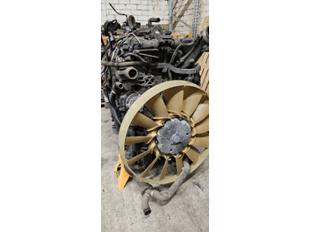 : immagine di intestazione