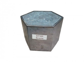 : immagine di intestazione