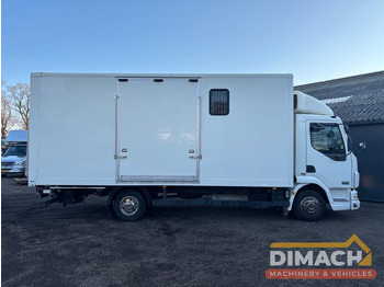 Leasing di DAF FA LF45.150 4 paards, laadlift. Horsetruck NL truck DAF FA LF45.150 4 paards, laadlift. Horsetruck NL truck: foto 4