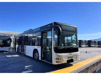 Autobus urbano MAN Lion's City