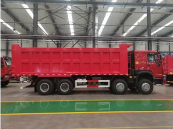 : immagine di intestazione