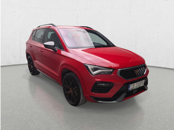 SUV/ Fuoristrada