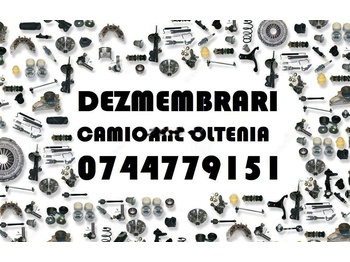Differenziale per Camion Meritor ms 17x / 177 E   Renault Premium / Magnum truck: foto 2