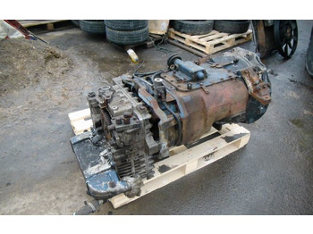 : immagine di intestazione