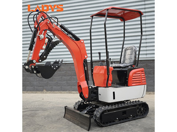 Miniescavatore nuovo LADYS DY12Pro Mini Excavator CE Certification Kubota Engine(Factory Outlet) Mini Pelle Minibagger Minikoparka Miniexcavadora: foto 4