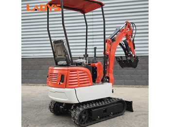 Miniescavatore nuovo LADYS DY12Pro Mini Excavator CE Certification Kubota Engine(Factory Outlet) Mini Pelle Minibagger Minikoparka Miniexcavadora: foto 3