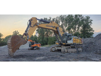Escavatore cingolato LIEBHERR